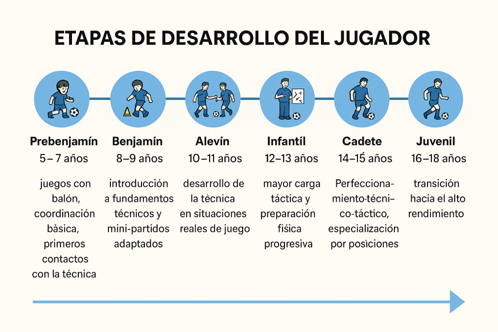 Etapas de desarrollo del jugador en fútbol base